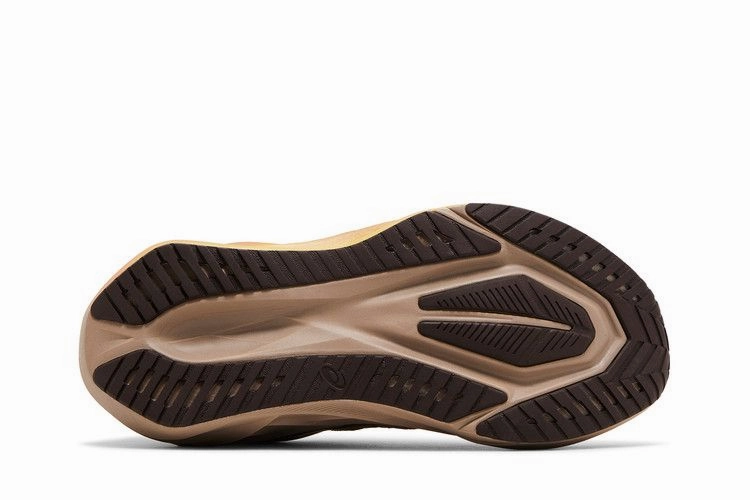 ASICS Novablast 5 Luxe Luxe Taupe Grey (Women's) Asics Best Marathon Running Shoes