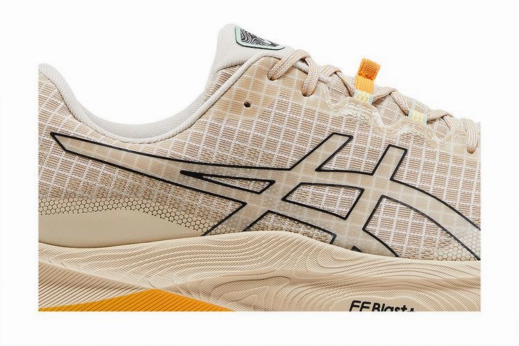 Asics Running Shoes Carbon Plate ASICS Trabuco Max 3 Feather Grey Black