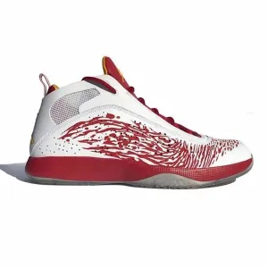 J&m Sneakers Miami Heat Dwyane Wade 2011 Air Jordan PE Promo Samples w/Box