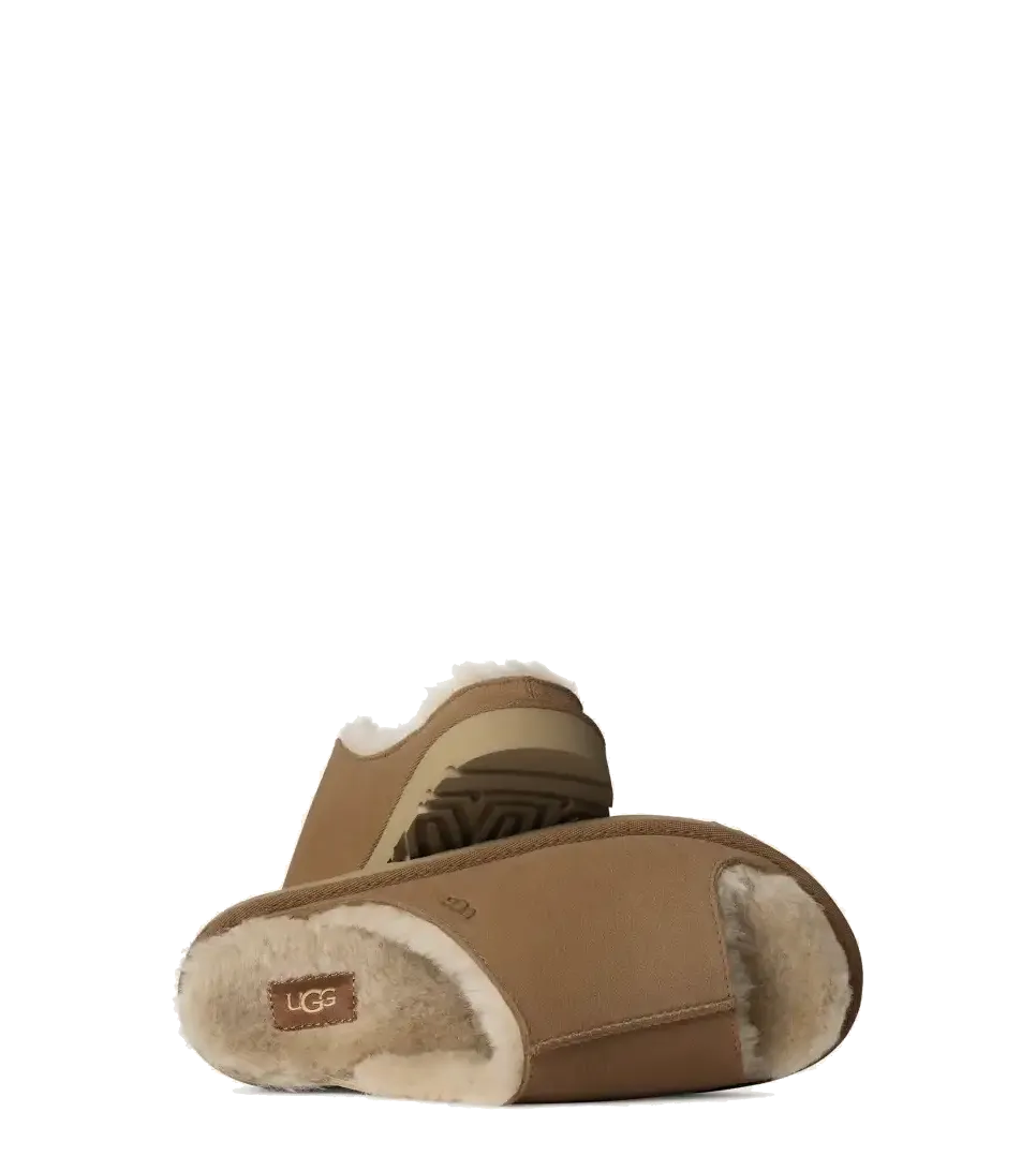Pluffi Slippers Reviews Complaints Greenport Slide Chestnut (Women)