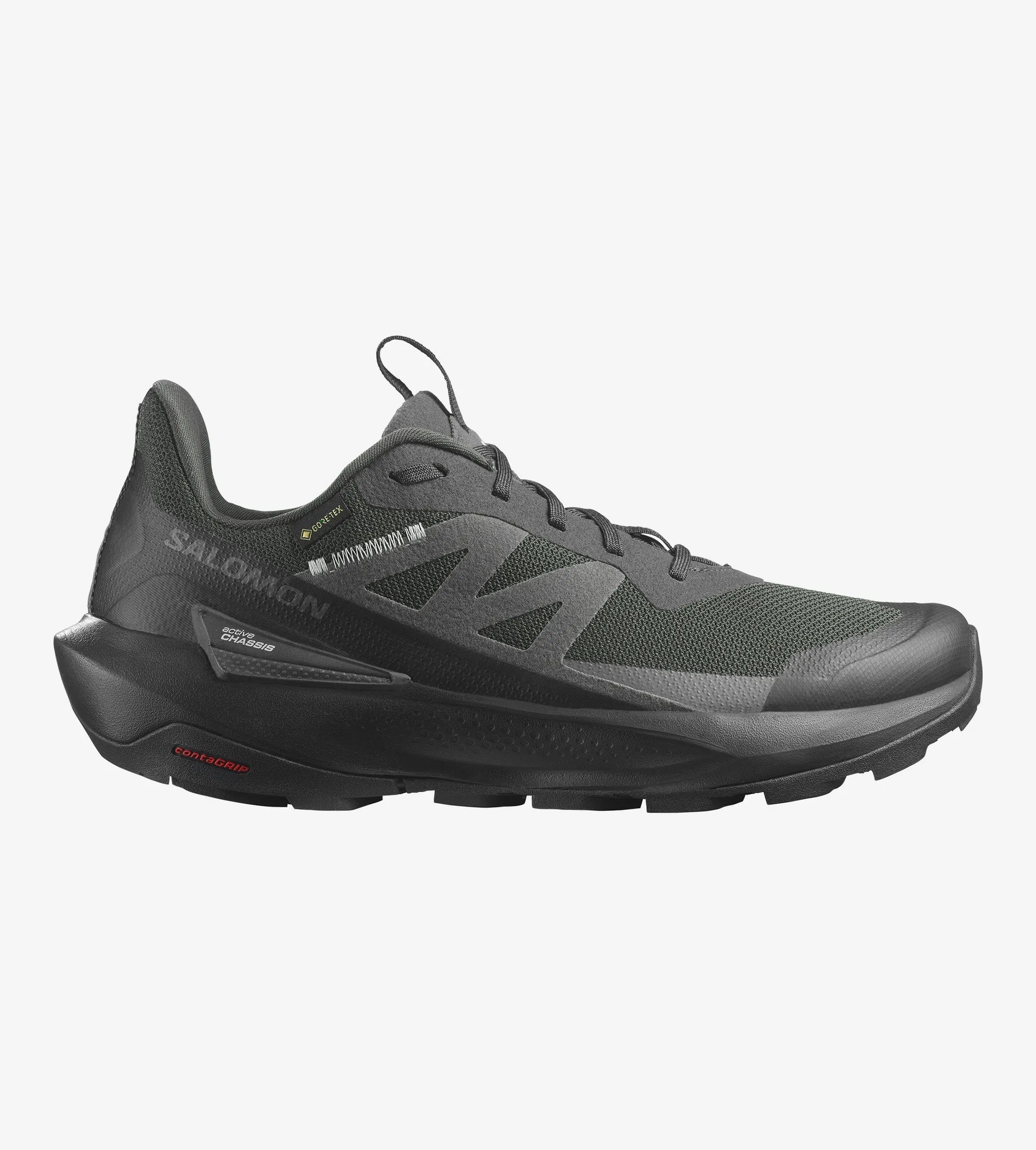 Best Product For Leather Shoes Salomon Elixir Activ GORE-TEX (Men's)
