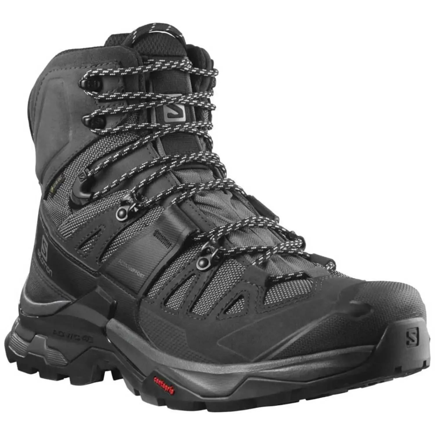 Colorado Waterproof Hiking Shoes Salomon Men's QUEST 4 GORE-TEX Hiking Boots For Men, Magnet/Black/Quarry