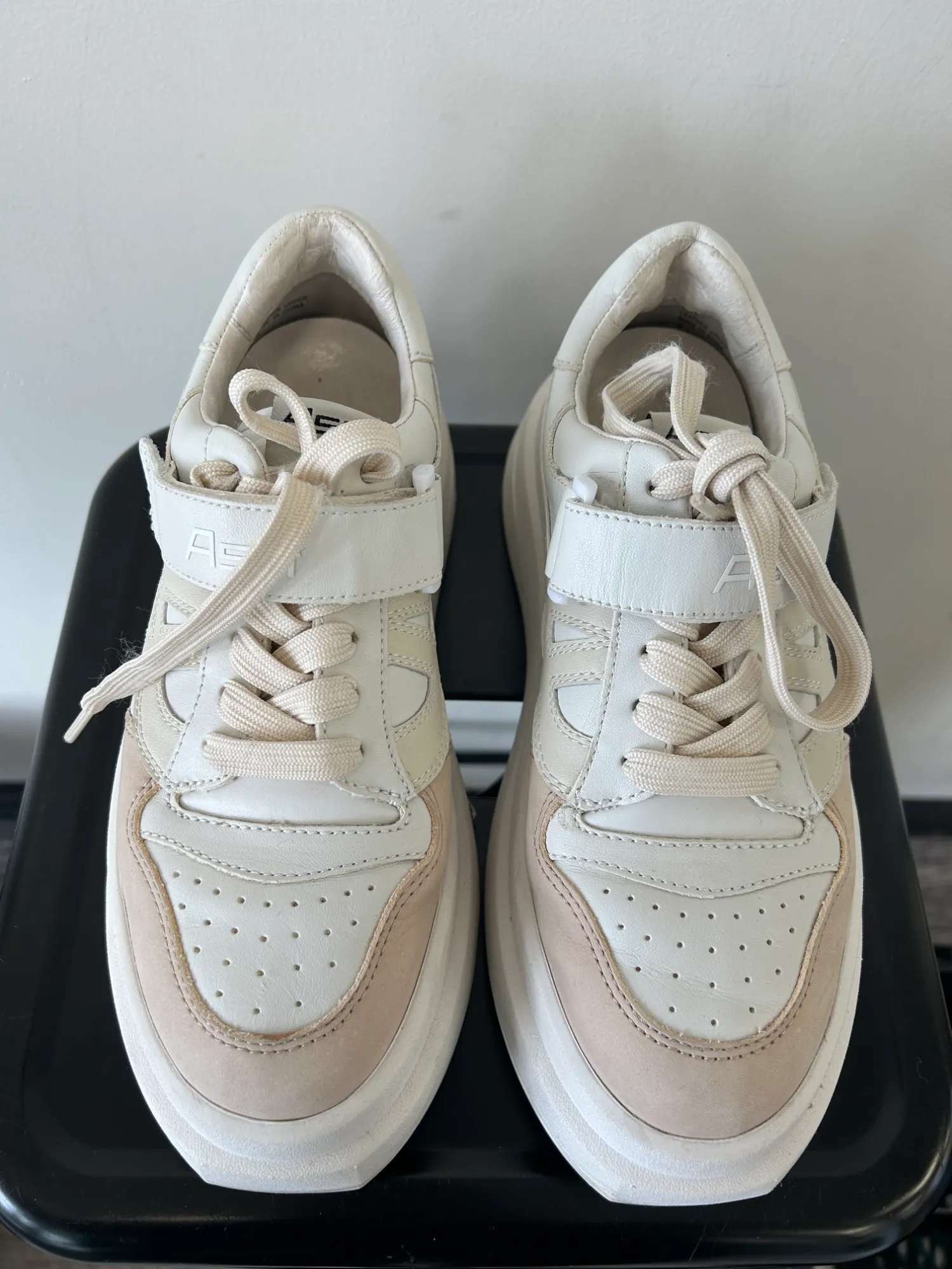 Casual Shoes No Laces Ash Casual Shoes Womens 7