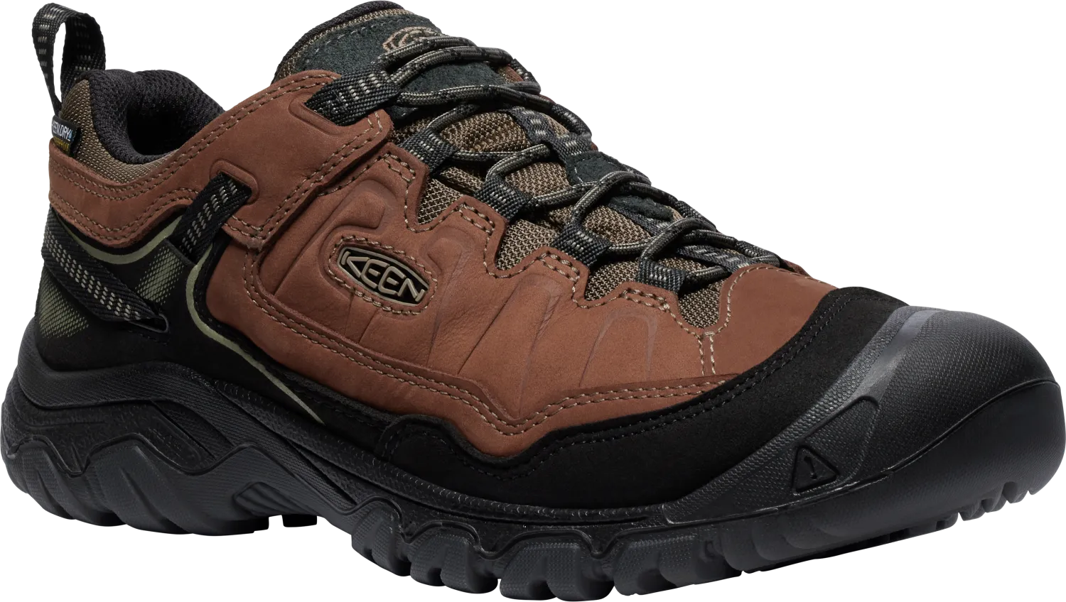 Targhee IV Wide Waterproof Zionic Waterproof Hiking Shoes