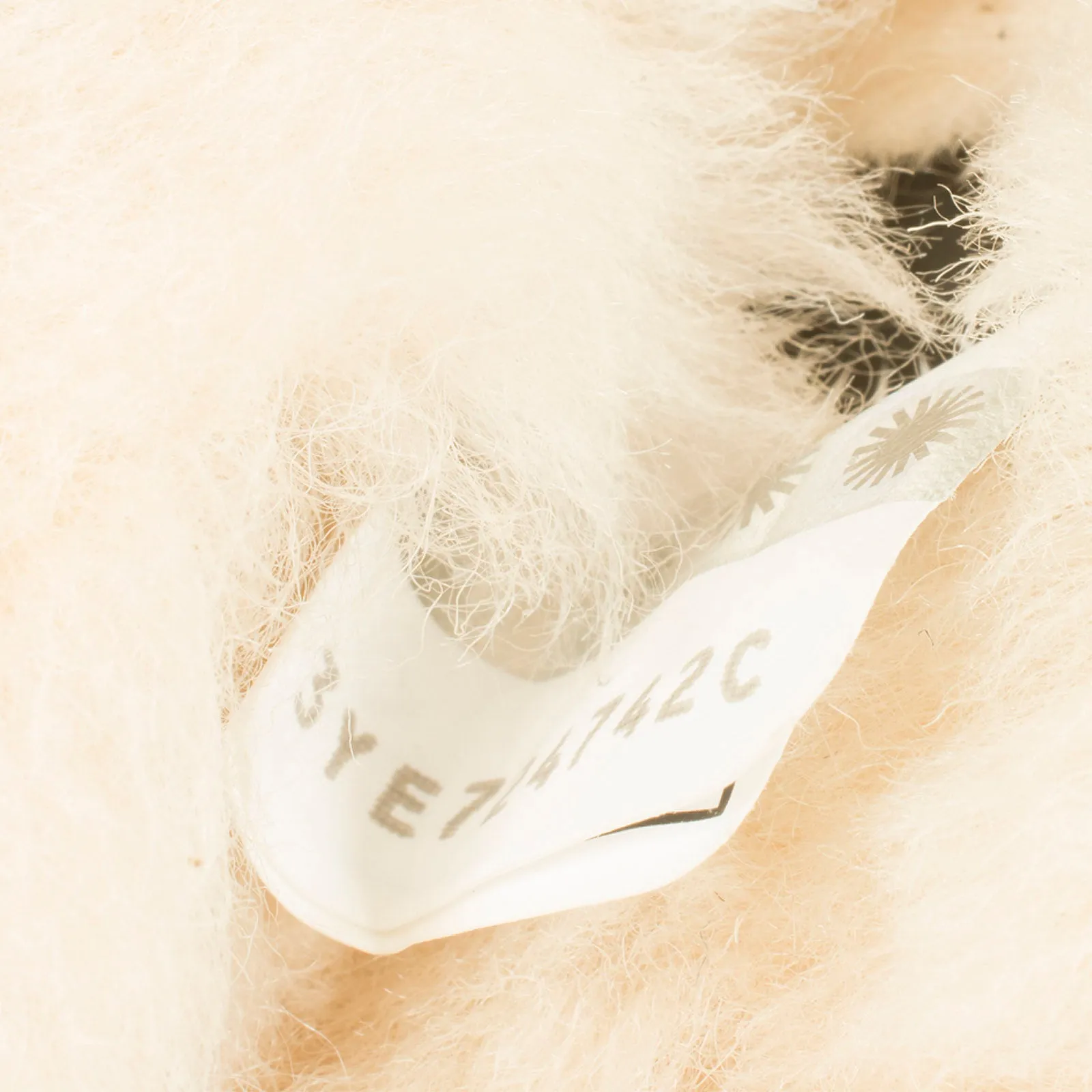 Shark Slippers Free Crochet Pattern UGG Ansley Stud II Charcoal Slippers - Women's