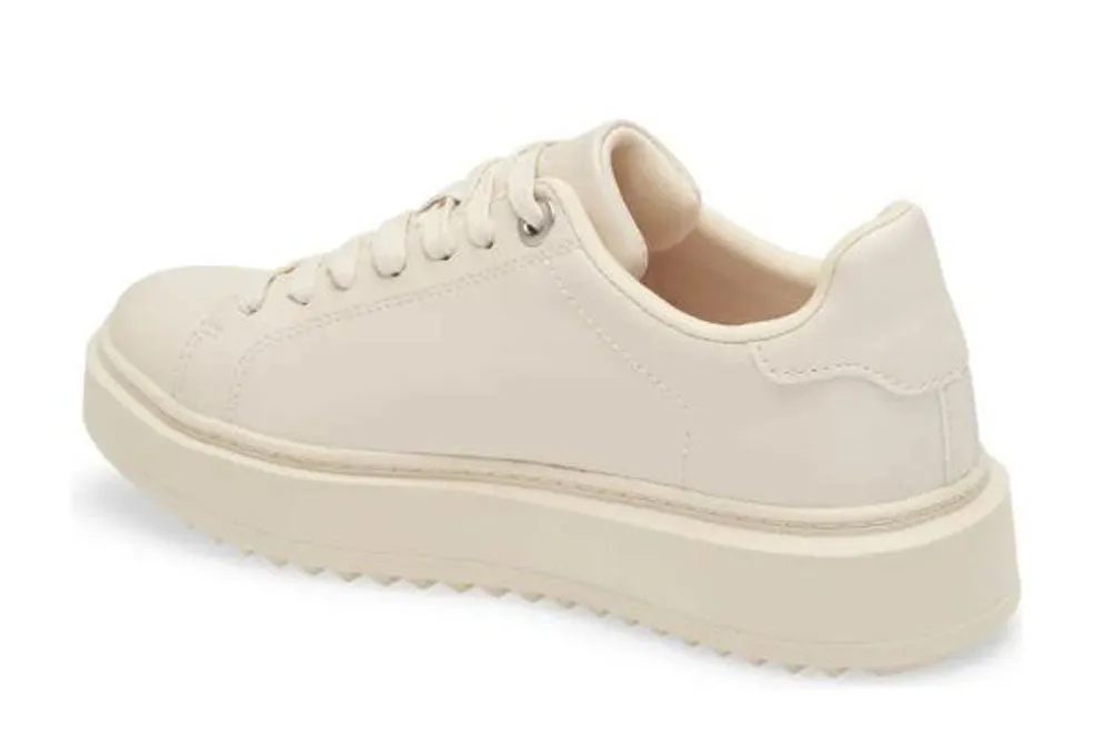 STEVE MADDEN Charlie Women Types Of Sneakers